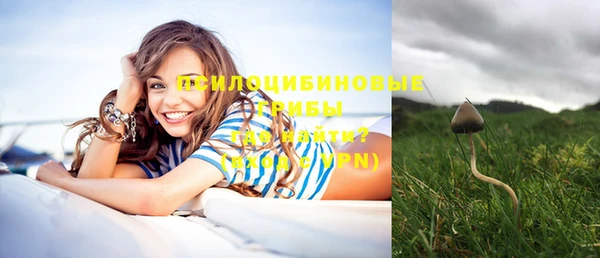 СК Мегион