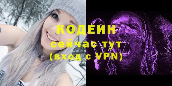 хмурый Михайловск