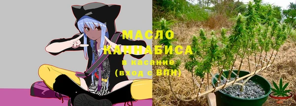 МДПВ Медвежьегорск